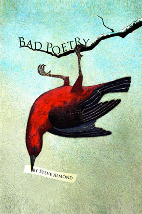 Bad Poetry - Steve Almond